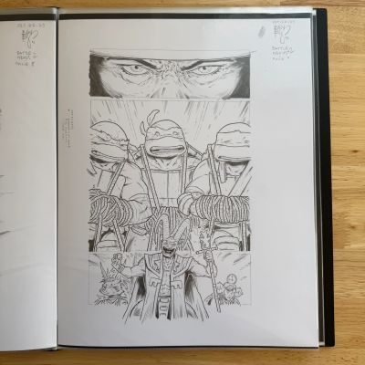 Ben Bishop | TMNT BATTLE NEXUS #2 - PAGE 9 - (ORIGINAL ART) | Ben Bishop