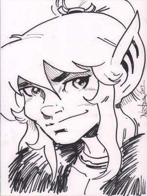 Mat Nastos | Elfquest Commission - Signed - 2017 | Anthony’s Comic Book Art