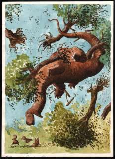 Dulieu, Jean (Oort, Jan van) - Originele tekening in kleur (aquarel) - Paulus de Boskabouter - Paulus en de Reis naar de Puntster (1965) | Catawiki