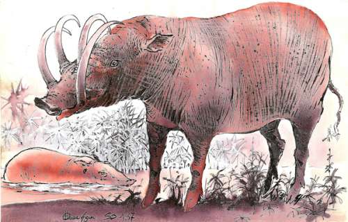 Hausman | Illustration Ã  l’encre de Chine et Ã  l’aquarelle… | Banque Dessinée