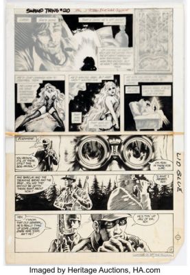 Dan Day and John Totleben The Saga of Swamp Thing #20 Story Page 12 Original Art (DC, 1984). | Heritage
