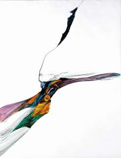 Sergio Toppi  Omaggio a Moebius | Little Nemo