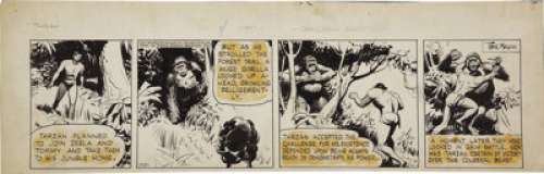 Rex Maxon Tarzan Daily Comic Strip Original Art (United Feature Syndicate. 1942). It‘s man versus ape once -