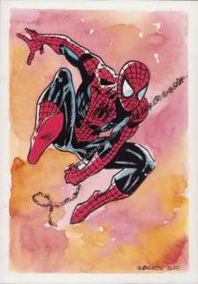 Caracuzzo, Giancarlo - 1 Original colour drawing - Spiderman - 2025 | Catawiki