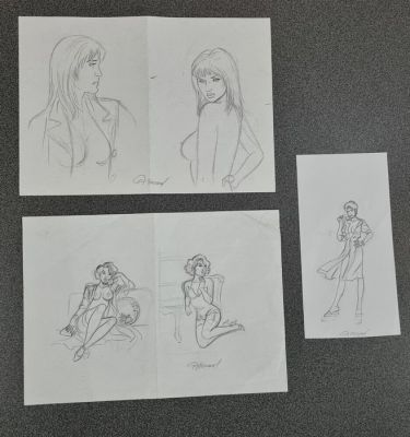 Renaud - 3 Original preliminary drawing - Jessica Blandy | Catawiki