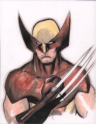 Karl Moline | Wolverine Color Commission | Anthony’s Comic Book Art