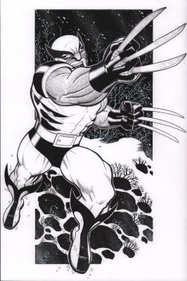 Nick Bradshaw | Wolverine Claw Slashing Full Figure Splash Art - Signed - 2026 | Anthony’s Comic Book Art