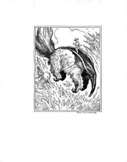 Tony Millionaire - Sock monkey - inches incident cover issue 4