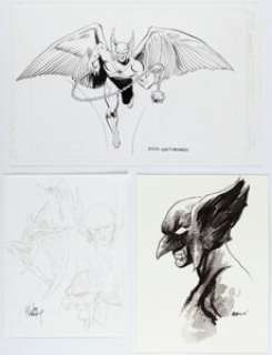 Joe Kubert, Dick Giordano, and Others - Hawkman Sketches Original Art Group of 18 (c. 2000s). (Total: 18 Items) | Heritage