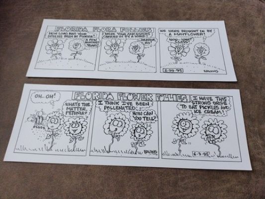(2) Orig. Published Cartoon Strip - By Duck Edwing - Tampa Tribune 1995 | eBay US (Buy It Now)