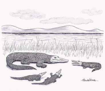 (NEW YORKER) J. B. HANDELSMAN (1922-2007) "THE AFRICAN QUEEN" “Tell us again about Bogie and Hepburn coming up the… | Swann Galleries