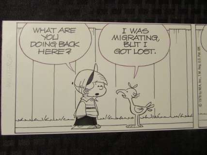 Dick Cavalli - Winthrop Comic Strip 8/16/78 17X5