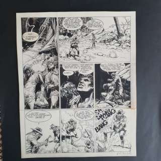 Rouge, Michel | Rouge, Michel - Planche originale - Comanche T11 - Les Fauves - (1990) | Catawiki