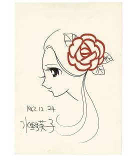 Eiko Mizuno Hand-Drawn Color Illustration | Mandarake (Big Web)