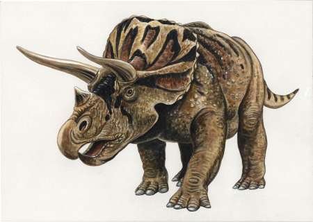 Bunya Watanabe’s Hand-Drawn Color Illustration "Triceratops" | Mandarake (Big Web)