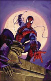 Greg Hildebrandt - Spider-Man Poster Illustration Painting Original Art (1990s). What‘s left to say about the -
