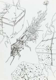 Jakub Woynarowski (b. 1982), "Historia ogrodow", 2008, | Desa Unicum