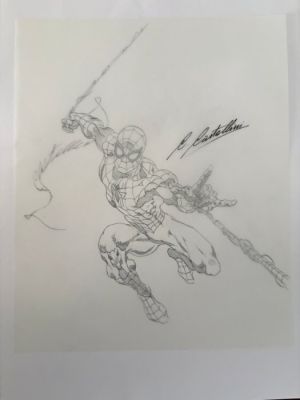 Claudio Castellini - 1 Original drawing - Spider-Man - 2022 | Catawiki