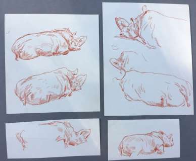 Geldhof, Herbert - Ensemble de 4 dessins originaux - Le RhinocérosÂ  (1976) | Catawiki