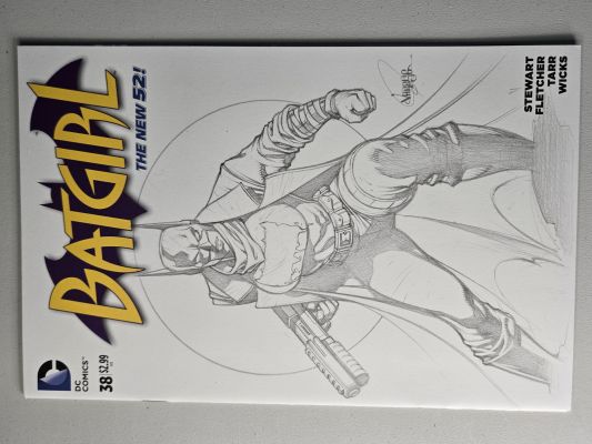 Absolue Batgirl "Lady Knight" | Raremarq (Buy It Now)