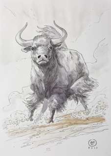 Ettore Mazza - Illustrazione Originale - "Yak" - china - A3 - Loose page - Other (2019) | Catawiki