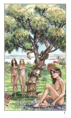 Federico Penco | Il giardino delle Esperidi | Tavole Originali