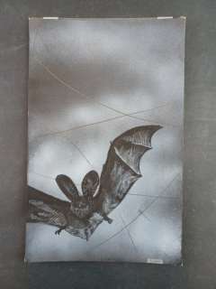 Karel Thole | Karel Thole Illustrazione Originale "Pipistrello Vampiro" | Catawiki