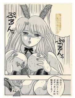 Rei Kashiwagi | Rei Kashiwagi - Original Hentai page - Hard Days / Playboy Bunny - (1996) | Catawiki