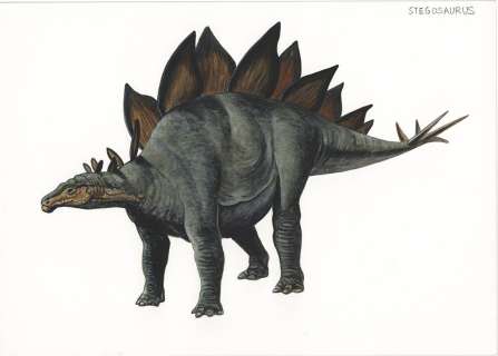 Bunya Watanabe’s Hand-Drawn Color Illustration "Stegosaurus" | Mandarake (Big Web)