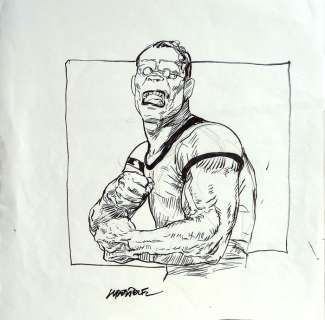 Liberatore, Tanino | Liberatore, Tanino - Original drawing - RanXerox | Catawiki