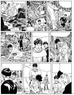 Alfonso Font | Bri d’Alban (BdA26) | Alfonso Font