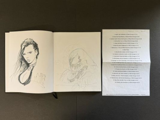 Campbell, Benitez, Leister, Tucci, Seeley and others - 22 Original drawing - Heroes and Superheroes - from Comic Artists at Chicago Comic Conventions 2009/10 (in one Book) | Catawiki