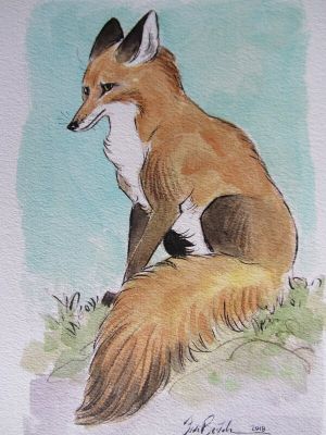 Federico Bertolucci | Le renard | 2DGalleries