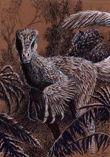 Salvador Sanz | Ilustraciones Salvador Sanz - Velociraptor | NRisso Art