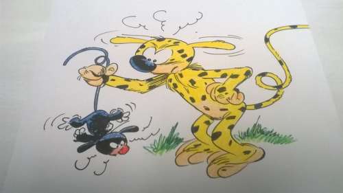 Batem - Dessin original en couleur - Marsupilami et le petit Marsupilami noir - (2016) | Catawiki