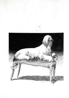 Aldo Di Gennaro | Original illustration cm. 35x49. Ink. Signed. Mint. Code 1788. | Segni e Disegni