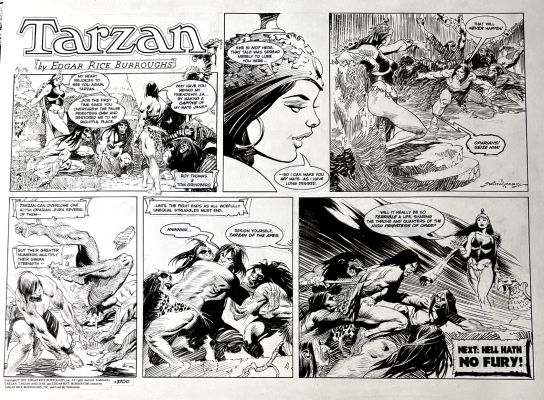 Tom Grindberg | Tarzan Sunday Comic Strip (Awesome Battle with Tarzan Battling Sexy Babe & Her Ape Savages!) 2012 | Romitaman