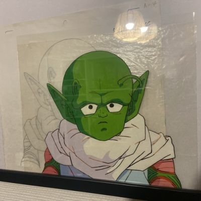 Celluloïd Et Douga Anime dragon ball z | eBay Europe