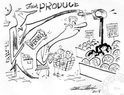 Bob Staake | Washington Post - Chocolate-Covered Cabbage ($80.00) | Comic Art Collective