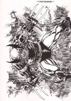 Wolverine by Harvey Toliboa | DiTullio Art Collective