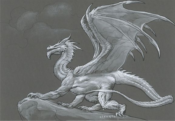 D-405 A – Guardian of the Cliffs | Corner4art