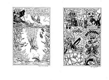 Sock Monkey, Billy Hazelnuts - Tony Millionaire, two artworks: Sock Monkey + Billy Hazelnuts - Fantagraphics Books