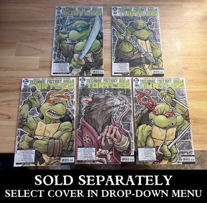 David Petersen | Painted TMNT blank covers | David Petersen
