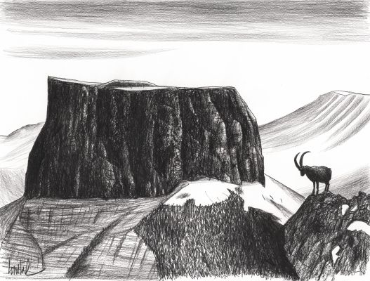 Loustal | Le mouflon solitaire - Fusain sur papier | Huberty Breyne Gallery