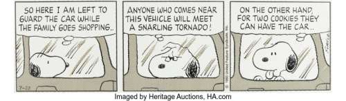 Schulz, Charles | Charles Schulz Peanuts Daily Comic Strip Original Art dated 7-23-93 (United Feature Syndicate, 1993).... | Heritage