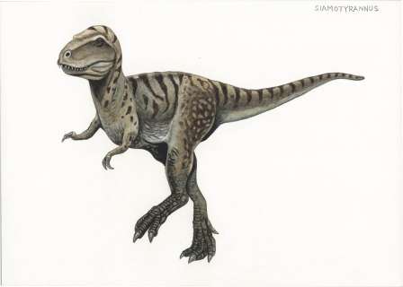 Bunya Watanabe’s Hand-Drawn Color Illustration "Siamotyrannus" | Mandarake (Big Web)