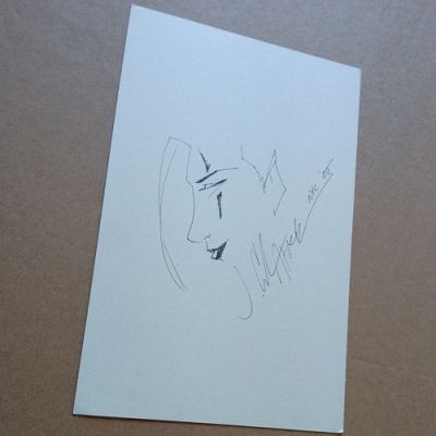 Original comic art sketch Aquaman Autograph Jim Calafiore Doodle Art NYC 2005 | eBay US (Buy It Now)