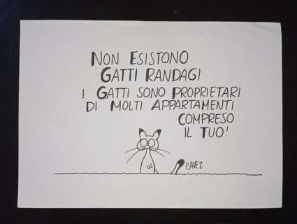 Cavezzali, Massimo - 1 Original drawing - I gatti randagi non esistono - 2022 | Catawiki