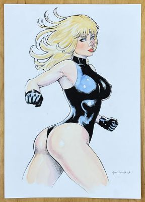 Black Canary by Marc Holanda | Stuart Ng Books