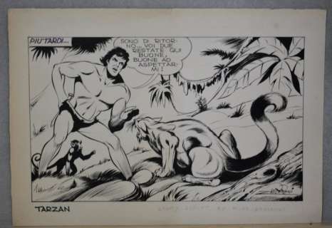 Zamperoni, Guido | original plate Tarzan | Catawiki
